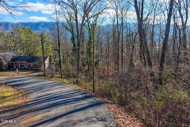 Tbd Blackheath Rd, Kingsport, TN 37660 - photo 7