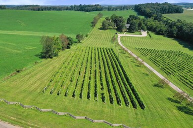 26367 Danville Amity Rd, Danville, OH 43014 - photo 6