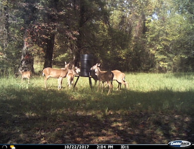 223 Southlake Rd, Saratoga, AR 71859 - photo 3