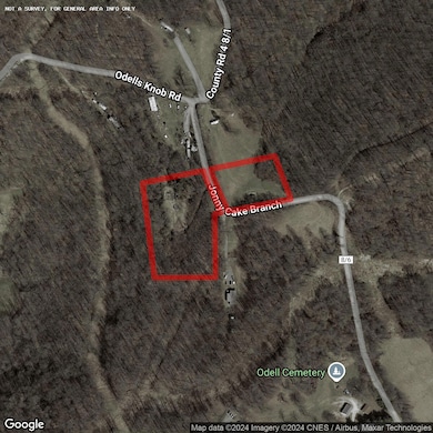 745 Odells Knob Rd, 21vj913sgyju, WV 26582 - photo 6