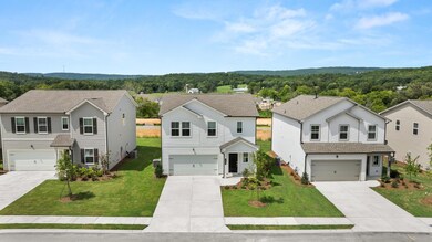 115 Saddlebred Way, Rossville, GA 30741 - photo 3