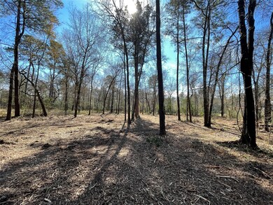 0 Bob White St, Conroe, TX 77385 - photo 6