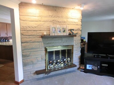 Living room fireplace