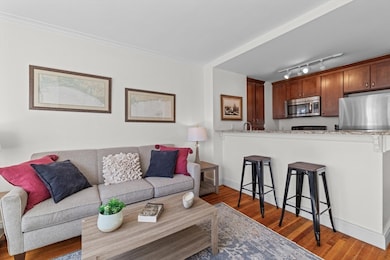 The Charlesview unit 602, Boston, MA 02215 - photo 4