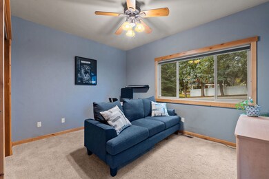 Bedroom or office on entry level