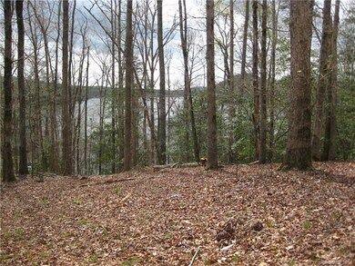View from the top of lot 1073.