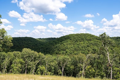 Tbd State Highway Y, Galena, MO 65656 - photo 2