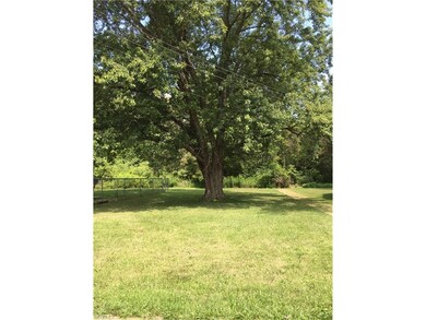 Large mature tree for shade