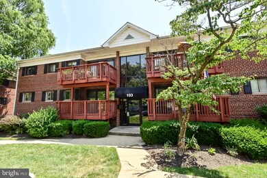 103 Skyhill Rd unit 3, Alexandria, VA 22314 - photo 4