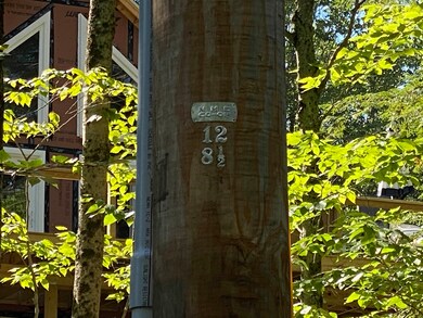 63-11-5 Ossipee Mountain Rd unit 63/11-5, Ossipee, NH 03864 - photo 4