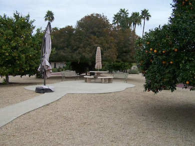 17207 N 107th Ave unit 39, Sun City, AZ 85373 - photo 4