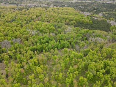 Aerial View 4