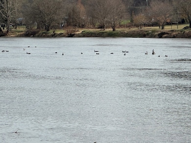 TBD River Beach Ln, Galax, VA 24333 - photo 4