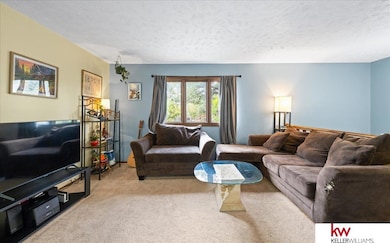 311-313 S 6th St, Plattsmouth, NE 68048 - photo 4