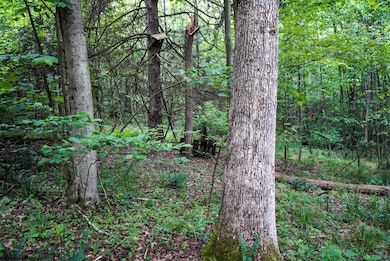 Lot 130 Laurel Loop, Bruceton Mills, WV 26525 - photo 2