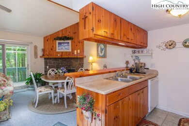 157 S Slope Loop unit M4, Banner Elk, NC 28604 - photo 7