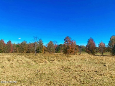 000 Running Deer Ln, Huron, TN 38345 - photo 3