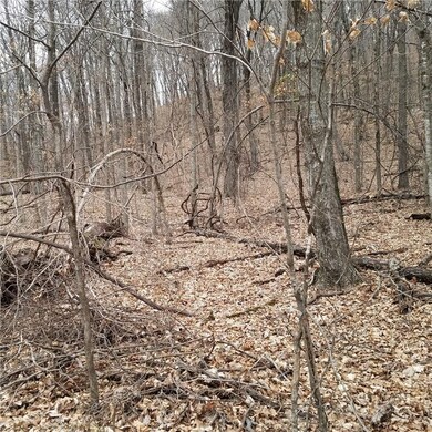 0 23 89 Ac Cr 4099 unit 1107420, Crosses, AR 72727 - photo 3