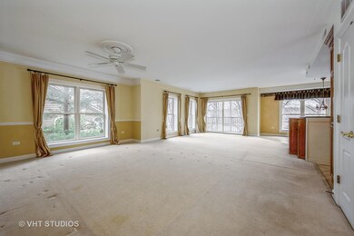 218 N Water St unit 101A, Batavia, IL 60510 - photo 7