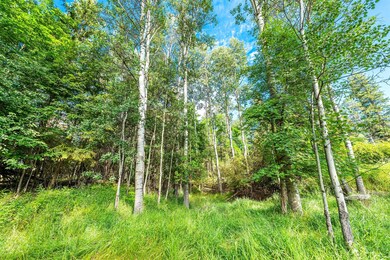 206 Willow Glen Dr, Kalispell, MT 59901 - photo 7