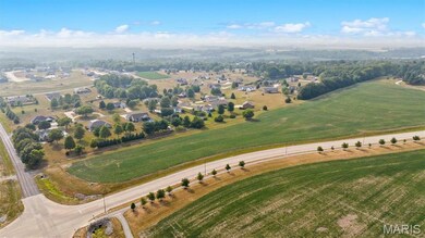 0 Sportsman Rd, Highland, IL 62249 - photo 4