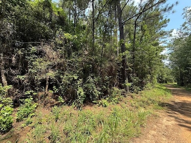 2955 County Road 441, Magnolia Springs, TX 75956 - photo 3