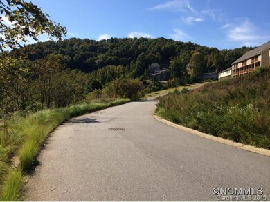 9999 Fallen Spruce Dr, Asheville, NC 28806 - photo 6