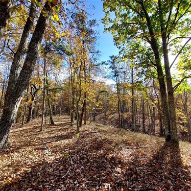 0 Mckibben Rd unit 7665027, Buchanan, GA 30113 - photo 5