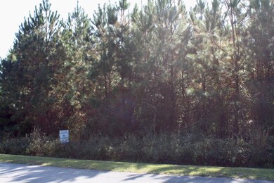 105 Calcos Ct, Stump Sound, NC 28445 - photo 5