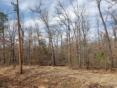 0 Buckden Ln unit 1210435, Bella Vista, AR 72715 - photo 5