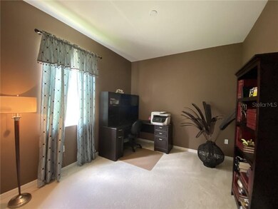 9725 Simeon Dr, Land O Lakes, FL 34638 - photo 4