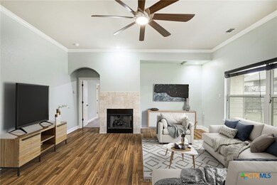 Living Room and Fireplace