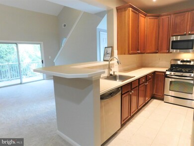 11315 Westbrook Mill Ln unit 303, Fairfax, VA 22030 - photo 7