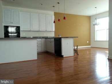 4317 Vintage Ivy Ln, Owings Mills, MD 21117 - photo 4