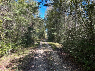 2000 Oak Hill Rd, Eastover, SC 29044 - photo 5