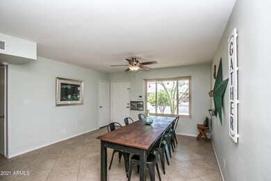 Hackamore St-10