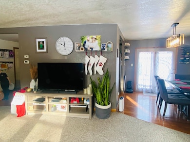 920 Forest Lake Dr, Plover, WI 54467 - photo 6