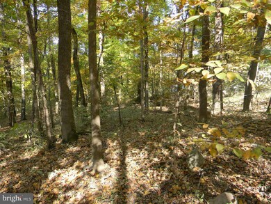 SECTION II Deer Rapids Rd, District 6, VA 22657 - photo 6