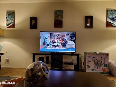 living room entertainent wall