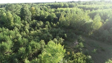 00000 Lhotka Rd, Grantsburg, WI 54893 - photo 7