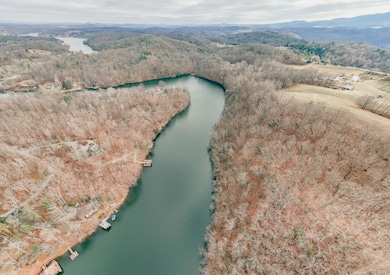 3909 Hodge Hollow Rd, Pulaski, VA 24301 - photo 6