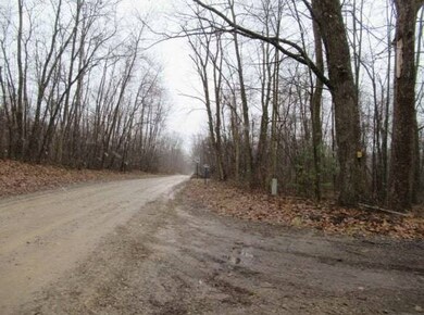 14510 Washburn Rd, Otter Lake, MI 48464 - photo 4