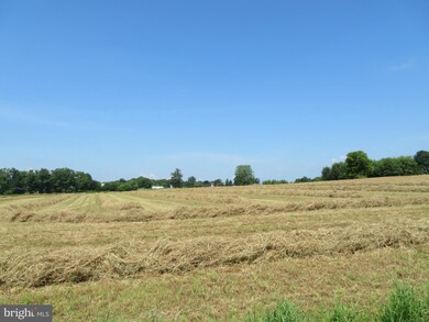 0 Mill Rd, Washingtonvle, PA 17884 - photo 2