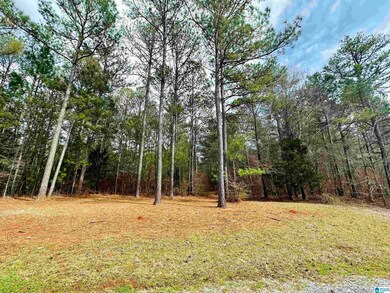 000 Wildberry Ln unit 13, Sylacauga, AL 35151 - photo 4