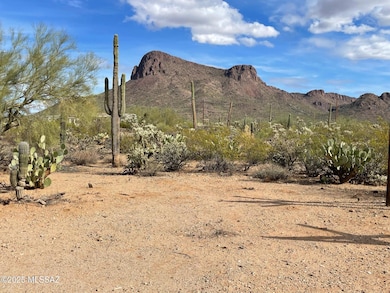 7305 N van Ark Rd unit 1, Tucson, AZ 85743 - photo 6