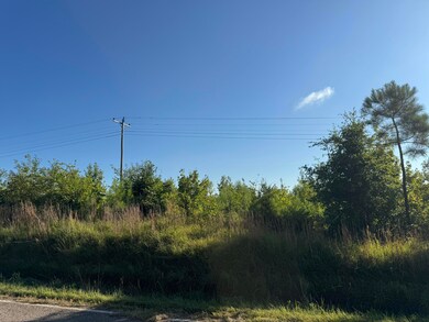 11ac Ouzts Rd, Edgefield, SC 29824 - photo 2