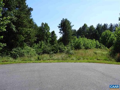 11 Ridgeview Dr Dr unit 11, Ruckersville, VA 22968 - photo 7