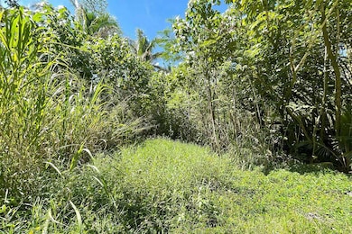 0 Government Beach Rd unit 724050, Pahoa, HI 96778 - photo 7