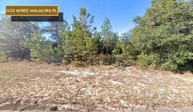 0 Malaluka Place unit 25518503, Chipley, FL 32428 - photo 3