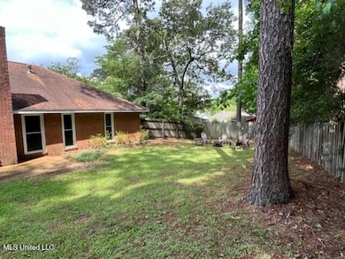Back yard 3